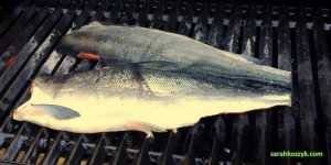 grill salmon_1